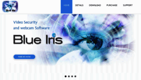 What Blueirissoftware.com website looked like in 2018 (6 years ago)