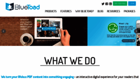 What Bluetoad.com website looked like in 2018 (6 years ago)