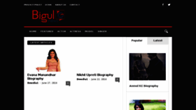 What Bigulmedia.com website looked like in 2018 (6 years ago)