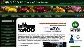 What Birchcrestlandscape.com website looked like in 2018 (6 years ago)