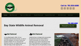 What Baystatewildlife.com website looked like in 2018 (6 years ago)