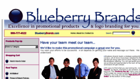 What Blueberrybrands.com website looked like in 2018 (6 years ago)
