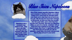 What Blueskycats.com website looked like in 2018 (6 years ago)