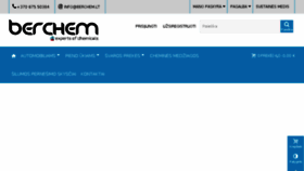 What Berchem.lt website looked like in 2018 (6 years ago)
