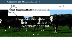 What Blacksheepfarmhealth.co.uk website looked like in 2018 (6 years ago)