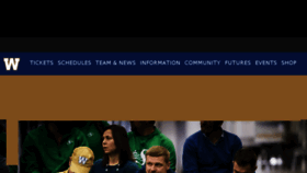 What Bluebombers.com website looked like in 2018 (6 years ago)