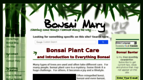 What Bonsaimary.com website looked like in 2018 (6 years ago)