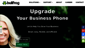 What Bullfrog.net website looked like in 2018 (6 years ago)