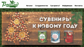 What Bontiland.ru website looked like in 2018 (5 years ago)
