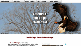 What Baldeagleinfo.com website looked like in 2018 (5 years ago)