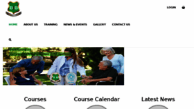 What Bandbnursing.ie website looked like in 2018 (6 years ago)