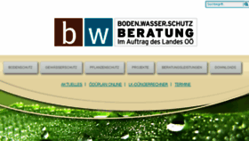 What Bwsb.at website looked like in 2018 (6 years ago)