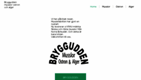 What Bryggudden.se website looked like in 2018 (6 years ago)