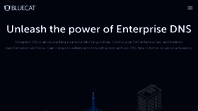 What Bluecatnetworks.com website looked like in 2018 (7 years ago)
