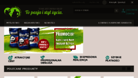 What Barduta.pl website looked like in 2018 (6 years ago)
