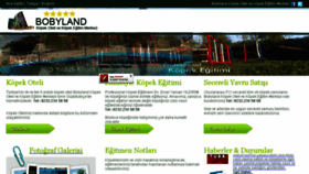 What Bobyland.com website looked like in 2018 (5 years ago)