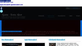 What Boraaker.com website looked like in 2018 (6 years ago)