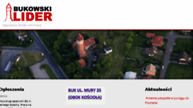 What Bukowskilider.pl website looked like in 2018 (6 years ago)