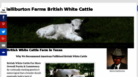 What Britishwhite.com website looked like in 2018 (5 years ago)
