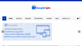 What Bouyki.com website looked like in 2018 (5 years ago)