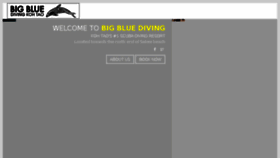 What Bigbluediving.com website looked like in 2018 (5 years ago)