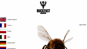 What Buckfast.dk website looked like in 2018 (5 years ago)