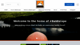What Baldscape.com website looked like in 2018 (5 years ago)