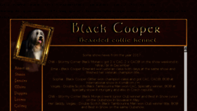What Blackcooper.eu website looked like in 2018 (5 years ago)