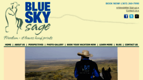 What Blueskysage.com website looked like in 2018 (5 years ago)
