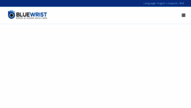 What Bluewrist.com website looked like in 2018 (5 years ago)