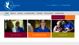 What Bluebirdcare.ie website looked like in 2018 (7 years ago)