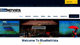 What Bluenetvista.com website looked like in 2018 (5 years ago)