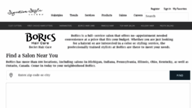 What Borics.com website looked like in 2018 (5 years ago)