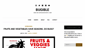 What Bugible.com website looked like in 2018 (5 years ago)