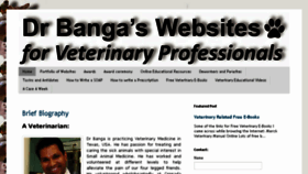 What Bangavet.com website looked like in 2018 (5 years ago)
