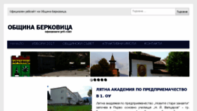 What Berkovitsa.com website looked like in 2018 (5 years ago)