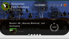 What Biebrza.org.pl website looked like in 2018 (7 years ago)