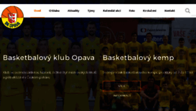 What Bkopava.cz website looked like in 2018 (5 years ago)
