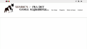 What Bostonterrier.it website looked like in 2018 (5 years ago)