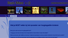 What Buromare.nl website looked like in 2018 (5 years ago)