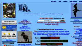 What Battaly.com website looked like in 2018 (5 years ago)