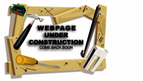 What Bluenile.com.eg website looked like in 2018 (8 years ago)