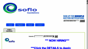 What Bidsoflo.us website looked like in 2018 (5 years ago)