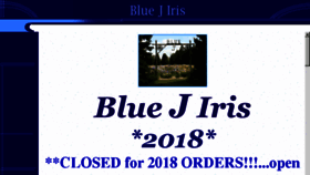 What Bluejiris.com website looked like in 2018 (5 years ago)