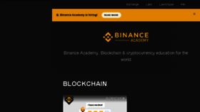 What Binance.vision website looked like in 2018 (5 years ago)