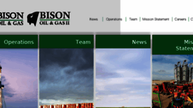 What Bisonog.com website looked like in 2018 (5 years ago)