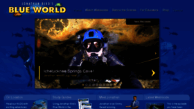 What Blueworldtv.com website looked like in 2018 (5 years ago)