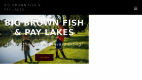 What Bigbrownfish.com website looked like in 2018 (5 years ago)