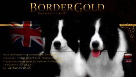 What Bordergold.pl website looked like in 2018 (5 years ago)