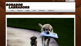 What Boradorlabradors.com website looked like in 2018 (5 years ago)